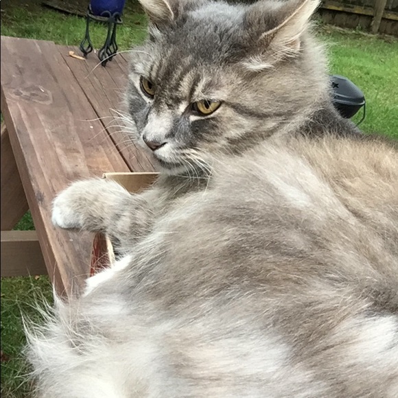 Meet your Posher, Malcom - Picture 1 of 14